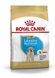 Royal Canin hondenvoer Labrador Retriever Puppy 12 kg