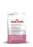 Royal Canin kattenvoer Mother & Babycat 10 kg