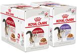 Royal Canin Kat Natvoer