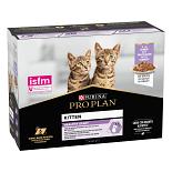 Pro Plan kattenvoer Junior Nutrisavour Kalkoen 10 x 85 gr