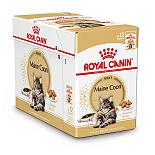 Royal Canin kattenvoer Maine Coon Adult 12 x 85 gr