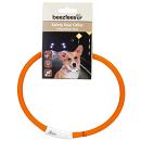 Beeztees Veiligheidshalsband Dogini 70 cm x 10 mm