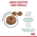 Royal Canin kattenvoer Digestive Care 10 kg