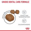 Royal Canin Kattenvoer Dental Care 400 gr