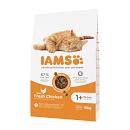 IAMS Kattenvoer Adult Chicken 10 kg