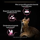 Pro Plan Kattenvoer Delicate Kalkoen Mousse 85 gr