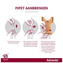 Advantix 40 6 pipetten