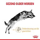 Royal Canin hondenvoer German Shepherd Adult 5+ 12 kg