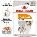 Royal Canin Hondenvoer Coat Care 12 x 85 gr