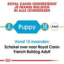 Royal Canin hondenvoer French Bulldog Puppy 10 kg