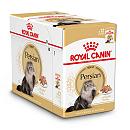 Royal Canin kattenvoer Persian Adult <br>12 x 85 gr