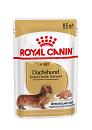 Royal Canin hondenvoer Dachs-hund Adult 12 x 85 gr