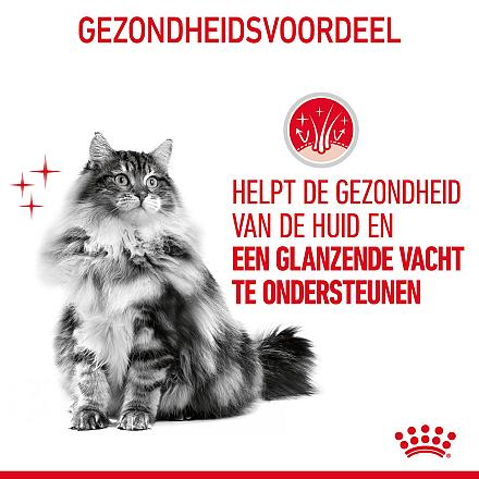 Royal Canin kattenvoer Hair & Skin Care 4 kg