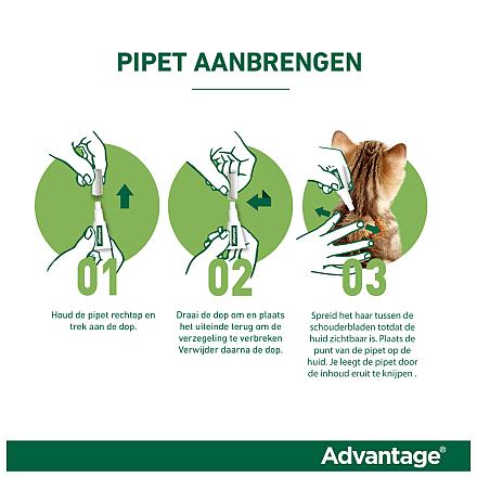 Advantage kat 80 <br>4 pipetten