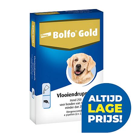 Bolfo Gold 250 hond <br>4 pipetten