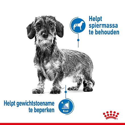 Royal Canin Hondenvoer Light Weight Care 12 x 85 gr