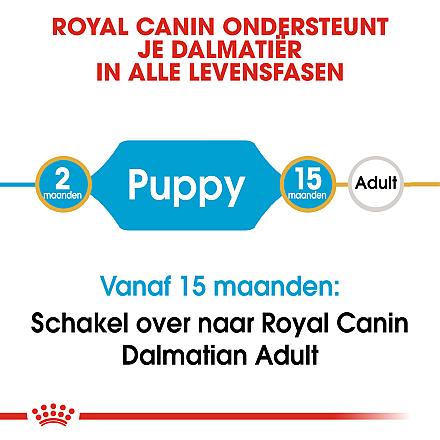 Royal Canin hondenvoer Dalmatian Puppy 12 kg