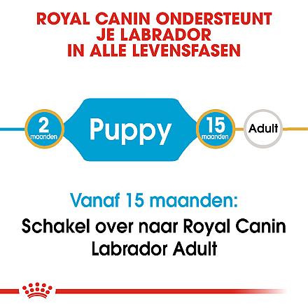 Royal Canin hondenvoer Labrador Retriever Puppy 12 kg