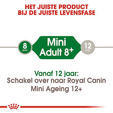 Royal Canin Hond Mini Adult 8+ 2 Kg