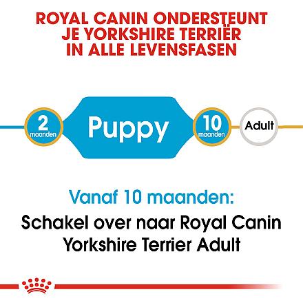 Royal Canin hondenvoer Yorkshire Terrier Puppy 7,5 kg