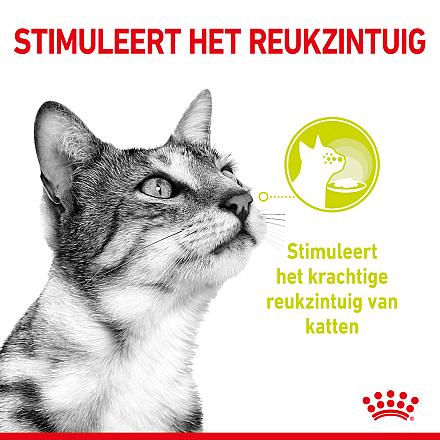 Royal Canin kattenvoer Sensory Smell in gravy 12 x 85 gr