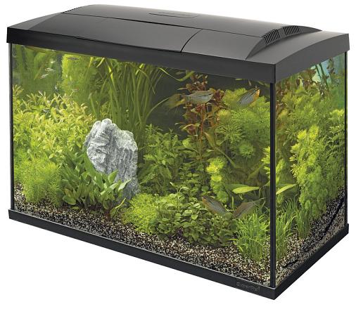 SuperFish aquarium Start 100 Tropical kit zwart