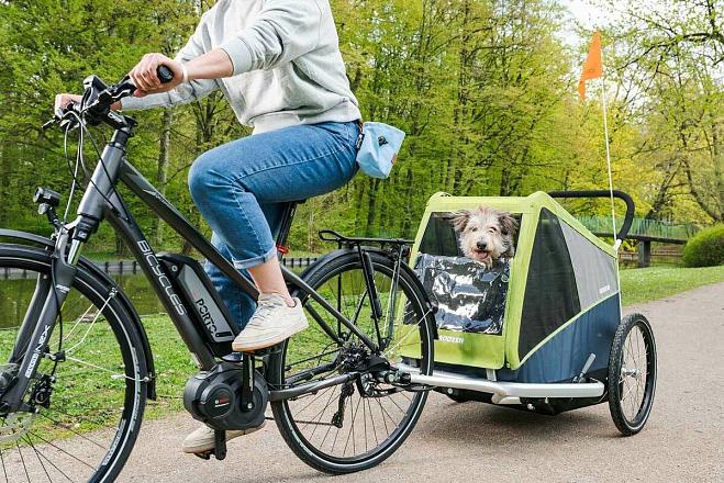 Croozer hondenfietskar Dog Jokke XL