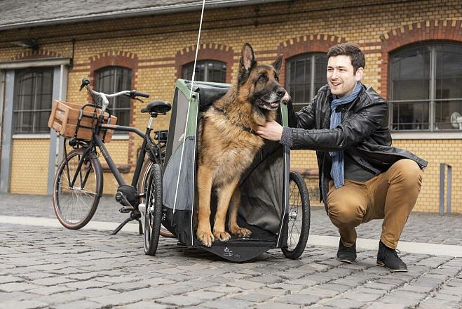 Croozer hondenfietskar Dog Bruuno XXL