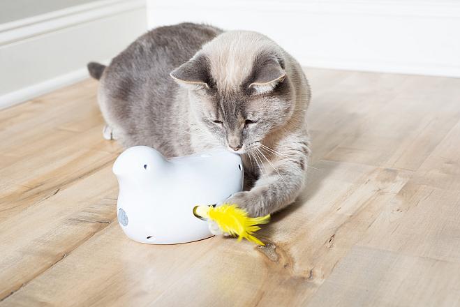 PetSafe Frolicat Peek-a-bird