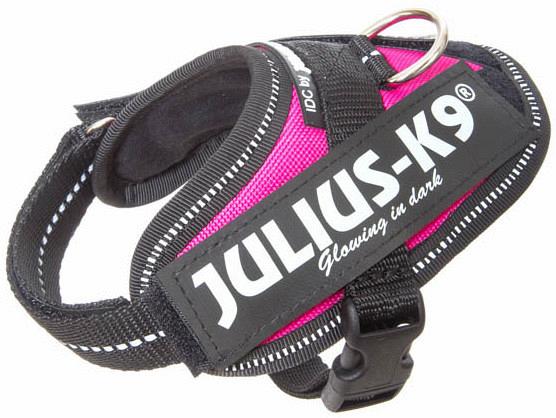 Julius K9 IDC Powerharness dark pink